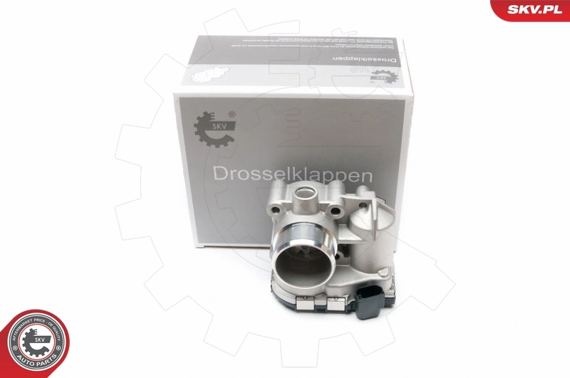 Throttle Body